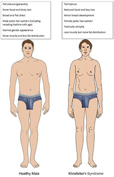 A person in underwear and a person in underwear Description automatically generated