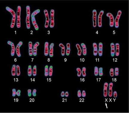 A group of cells with numbers and symbols Description automatically generated with medium confidence