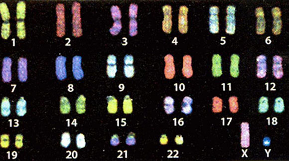 A close-up of several colored footprints Description automatically generated