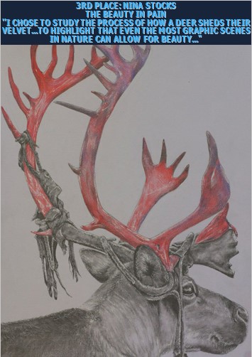 A drawing of a deer with antlers Description automatically generated