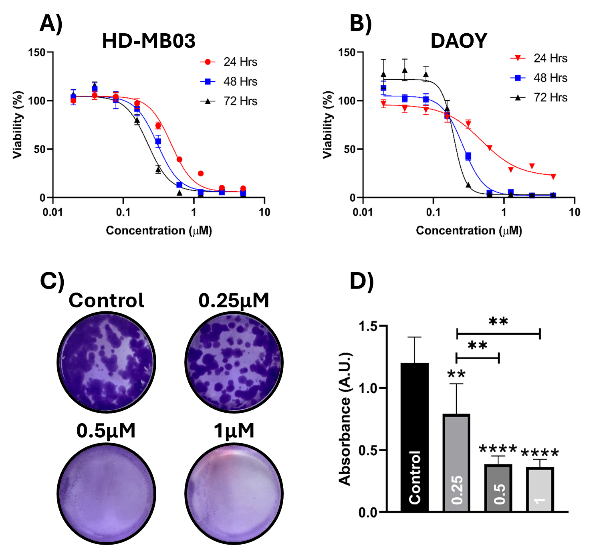 A collage of images of different types of cells Description automatically generated