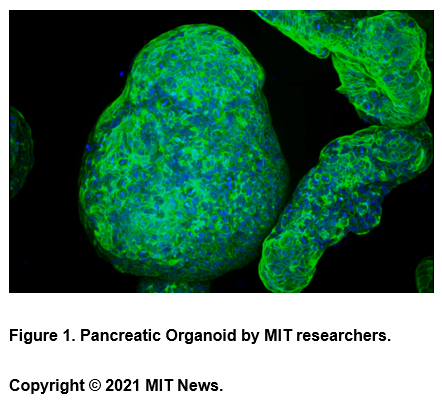 A close-up of a microscope Description automatically generated