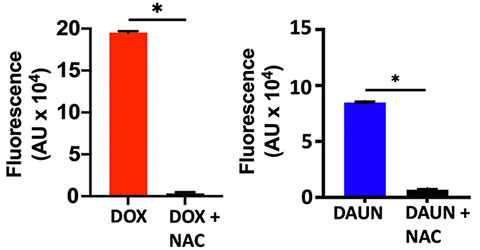 A comparison of a red and blue graph Description automatically generated