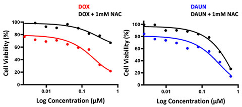 A comparison of different types of cell vibratory data Description automatically generated with medium confidence