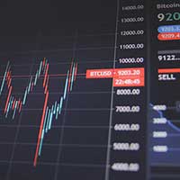 The effects of financial literacy on investors in the UK stock market